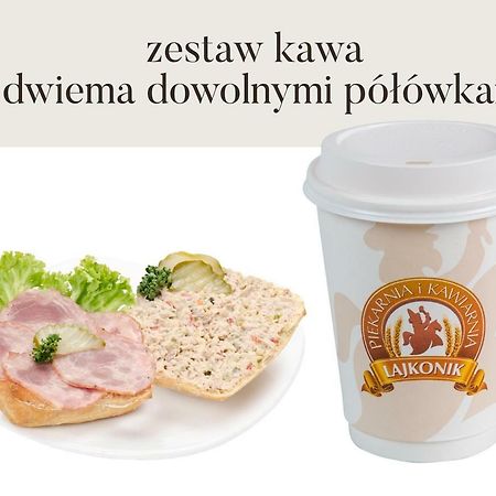 Da Vinci Apartment Krasków Εξωτερικό φωτογραφία